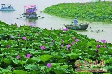 曲阜地接旅行社